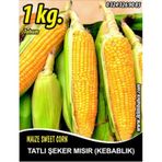Rem Seeds 1kg Kompozit Tatlı Şeker Mısır Tohumu