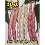 Rem Seeds 50gr Sırık Defne Barbunya Tohumu