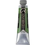 Rembrandt 40 ml 2 No:623 Sap Green Yağlı Boya