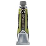 Rembrandt 40 ml Cinnabar Green Lt Yağlı Boya