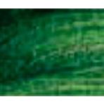 Rembrandt 40 ml Sap Green Yağlı Boya