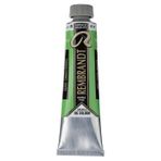 Rembrandt 40 ml Seri 3 Permanent Green Medium 614 Yağlı Boya