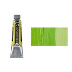 Rembrandt 40 ML Yağlı Boya Seri:1 No:629 Green Earth