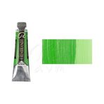 Rembrandt 618 Perm Green 40 ml Yağlı Boya