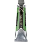 Rembrandt : Artists' : Yağlı Boya : 40 ml : Cinnabar Green Medium