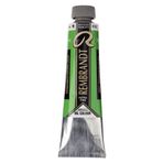 Rembrandt Yağlı Boya 40Ml Tüp - Perm.Green Lt