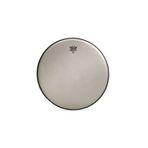 Remo 14'' Renaissance Ambassador Tom Derisi