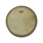Remo 9.75'' Conga Derisi