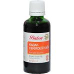 Renas Store Kabak Çekirdeği Yağı Soğuk Pres 50 ml Cam Şişe
