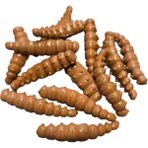 Renat Carp Renat Trout Bait Peynir Kokulu Silikon Larva Alabalık Yemi Açık Kahverengi