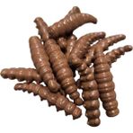 Renat Carp Renat Trout Bait Peynir Kokulu Silikon Larva Alabalık Yemi Kahverengi