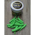 Renat Carp Renat Trout Bait Peynir Kokulu Silikon Larva Alabalık Yemi Yeşil