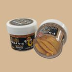 Renat Trout Bait Peynir Kokulu Silikon Kurtçuk Alabalık Yemi 15 Pcs - Sarı-9564