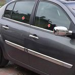 Renault Megane 2 Krom Cam Cıtası Sedan 2004-2010 4 Prç