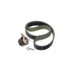 Renault Renault Express Kango Triger Seti (2001-2024) 1.5CDI 130C19462R