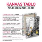 Rengarenk Göz Tablosu 60 x 60