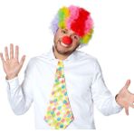 Rengarenk Kıvırcık Afro Bonus Peruk ve Kırmızı Burun Seti - Lisinya - 001-Renkli