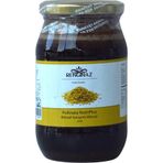 Renginaz Pollinata Nutriplus Bitkisel Karışımlı Macun 420 gr
