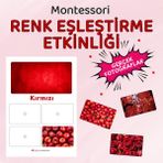 Renk Eşleştirme Oyunu – Dikkat ve Renk Algısı Etkinliği (3+ Yaş) – Renk Algısını Güçlendiren Sınıflandırma Oyunu – Montessori Renk Sınıflandırma Seti