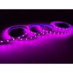 Renkli 10 Çip Şerit LED Iç Mekan Işık, Pembe, CT-4470 - Ahşap - Bej