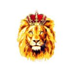 Renkli Aslan Araba Oto Sticker Yapıştırma Etiket 17cm H1