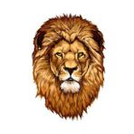 Renkli Aslan Araba Oto Sticker Yapıştırma Etiket 17cm H5
