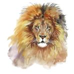 Renkli Aslan Araba Oto Sticker Yapıştırma Etiket 17cm Hj