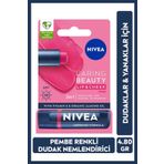 Renkli Dudak Bakım Kremi,Pembe,4,8gr,Nemlendirme,SPF30,Doğal Yağlar,E Vitamini,Dudak ve Yanak İçin