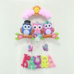 Renkli Hayallerim Kayra Isimli Baykuş Bebek Odası Kapı Süsü