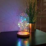 Renkli Işıklı Fanus Led Masa Lambası Ahşap Taban