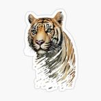 Renkli Kaplan Araba Oto Sticker Yapıştırma Etiket 17cm T12