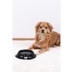 Renkli Metal Mama Kabı, Kedi Köpek Mama Su Kabı 20 Cm