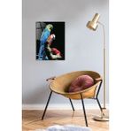 Renkli Papağanlar Cam Tablo 30CM x 40CM, Şeffaf ve Şık Ev Dekoru - Ahşap - Seçenek 1