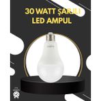 Renklime Acil Durumlar Için Şarjlı LED Ampul 6400K Soğuk Beyaz 30 Watt - Lisinya