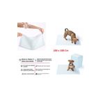 Rennway Yıkanabilir Köpek Çiş Pedi - 100 x 100 cm