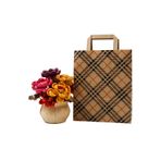 repro design Desenli Doğa Dostu Kağıt Saplı Kraft Çanta 22 X 27,5 X 8 Cm 3 Adet, Hediye Poşeti
