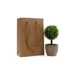 repro design Kraft Premium Karton Çanta 12 X 17 X 5 cm 1 Adet Hediye Poşeti