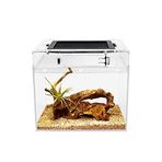 Reptile Growth Mini Sürüngen Teraryumu, 8 "x 8" x 8" Tam Görünüşlü Sürüngen Tankı Görsel Olarak Çekici, Böcek, Balık, Tarantula, Münzevi Yengeç, Atlama Örümcek, İguana, Kaplumbağa, Leopar Gecko,