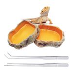 Reptile Growth Terrarium aksesuarı, 2 adet, su kabı, 1 adet cımbız, uzun, 1 adet cımbız, bükülmüş, sürüngenler, hamster, kertenkeleler, tarantulalar, sakallı ejderhalar, kaplumbağalar, kara