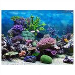 Restokki Akvaryum Posteri, PVC Yapışkanlı Sualtı Mercan Akvaryum Balık Tankı Arka Plan Çıkartması Fon Görüntü Dekorasyonu için (122 x 61 cm)