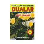 RESULULLAHIN DILINDEN DUALAR - ALI RIZA KAŞELI