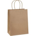 Retapack 25X12X31 Burgu Saplı 70GSM Recycle Kraft Kağıt Hediyelik Poşet 10 Adet - 251231