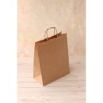 Retapack 25X12X31 Burgu Saplı 70GSM Recycle Kraft Kağıt Hediyelik Poşet 25 Adet