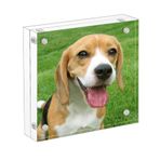 Retoteng Akrilik Fotoğraf Çerçeveleri, 10 x 10 cm Fotoğraf Bloğu Yatay Mıknatıs Çift Taraflı Resim Çerçevesi Seti, Mikrofiber Bezli, 10 + 10 mm Kalınlık Şeffaf Resim Çerçevesi Masaüstü Ekranı