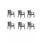RETRO ART Troya Rattan Koltuk 6'lı Set Hk-730