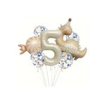 Retro Şapkali Dinazor Şeker Folyolu Yaş Balon Set, 5