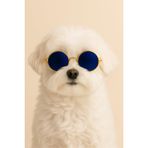 Retro Yuvarlak Evcil Hayvan Güneş Gözlüğü, Altın Metal Çerçeve, Renkli Lens, Kedi ve Köpekler için Moda Aksesuarı (LACİVERT)