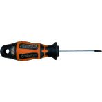 Retta Delikli Tork TORNAVIDAT15*80 mm RXT1015 - 001-Renkli - 12