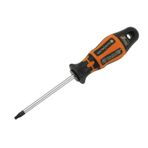 Retta RPTOT25 Torx Tornavida