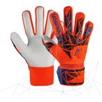 Reusch Attrakt Solid Kemikli Çocuk Kaleci Eldiveni 5472510-2290